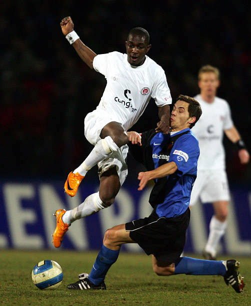 塞鸟右侧内 塞鸟右侧内